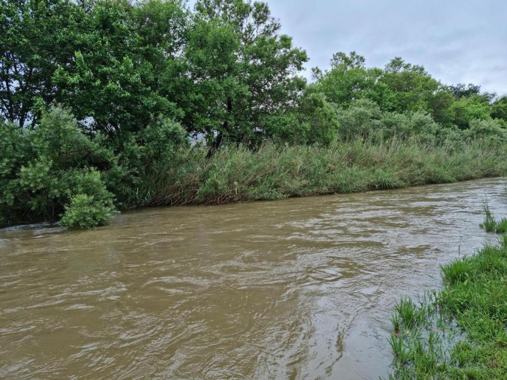 נלספרויט Crocodile Sands River Lodge מראה חיצוני תמונה